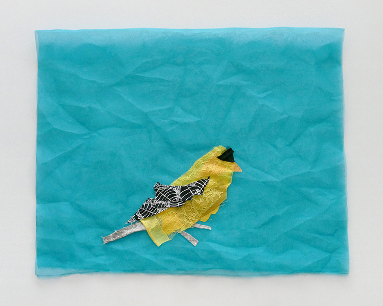 American Goldfinch