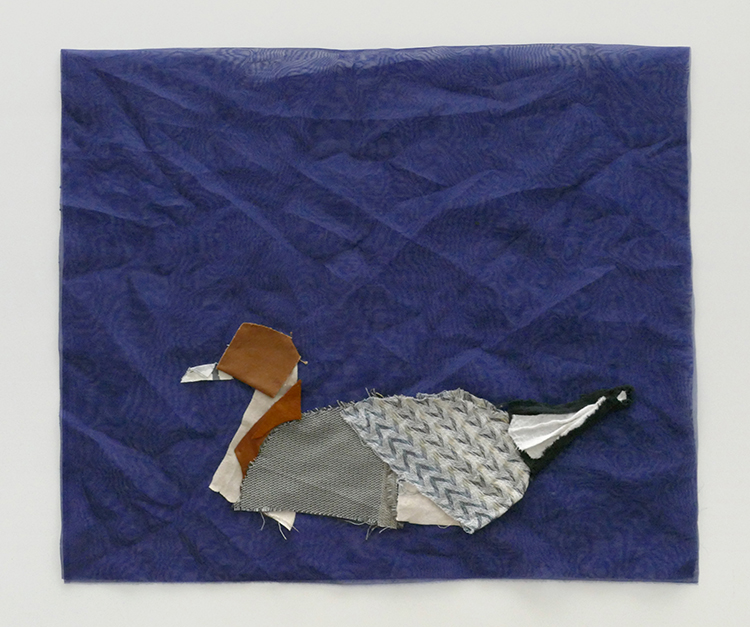 Northern Pintail