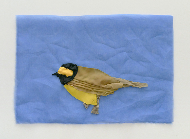 Hooded Warbler