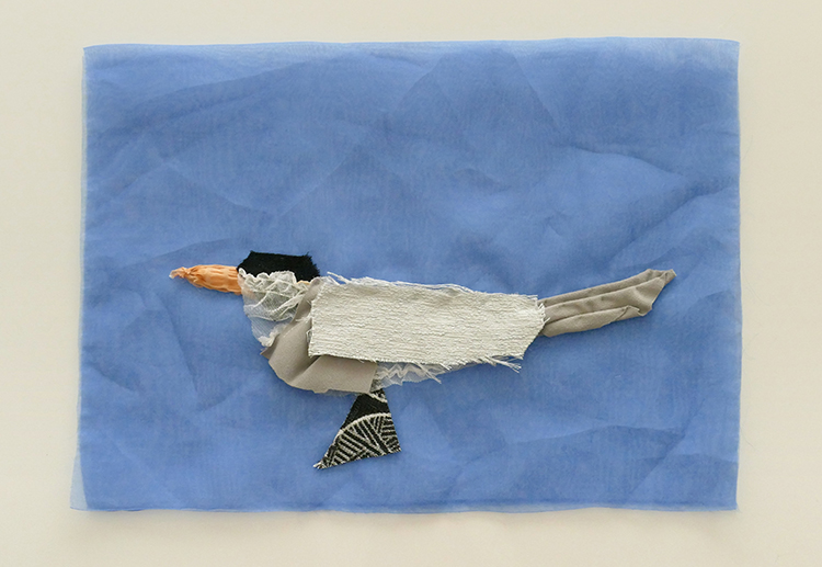 Royal Tern