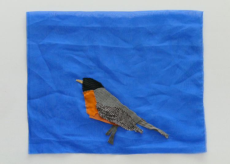 American Robin