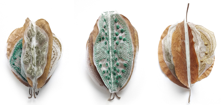 Wave Hill&rsquo;s Books of Leaves with Lace