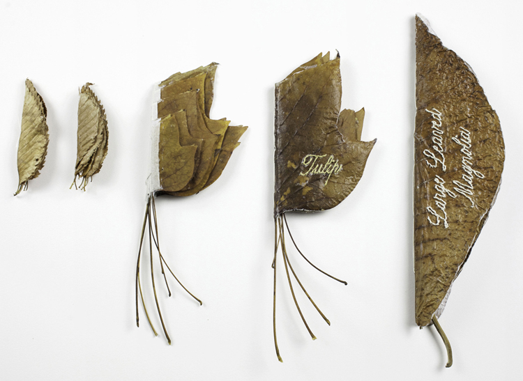 Wave Hill�s Books of Leaves