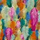 carnival